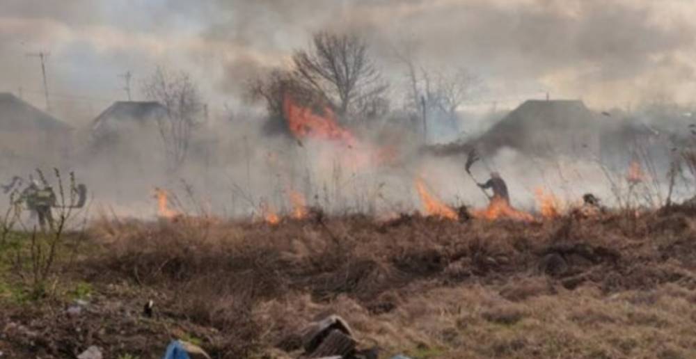 Масштабный пожар уничтожил урожай на Харьковщине: выгорело 10 га