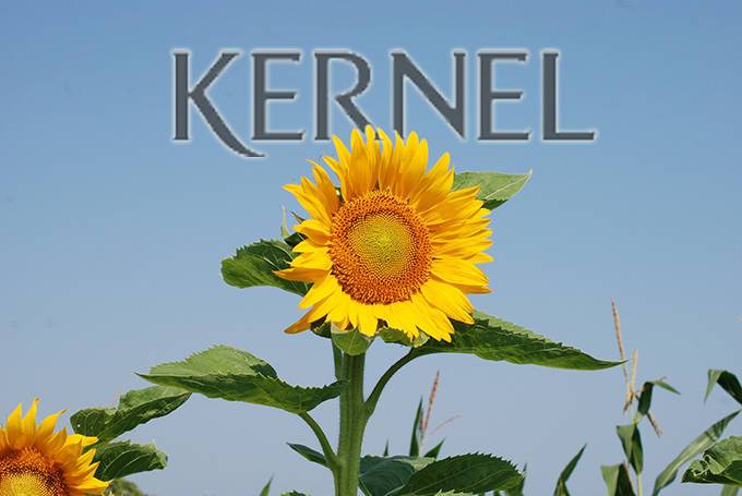 Кернел сократил продажи растительных масел на 25%