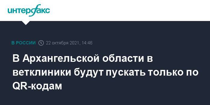 В Архангельской области в ветклиники будут пускать только по QR-кодам