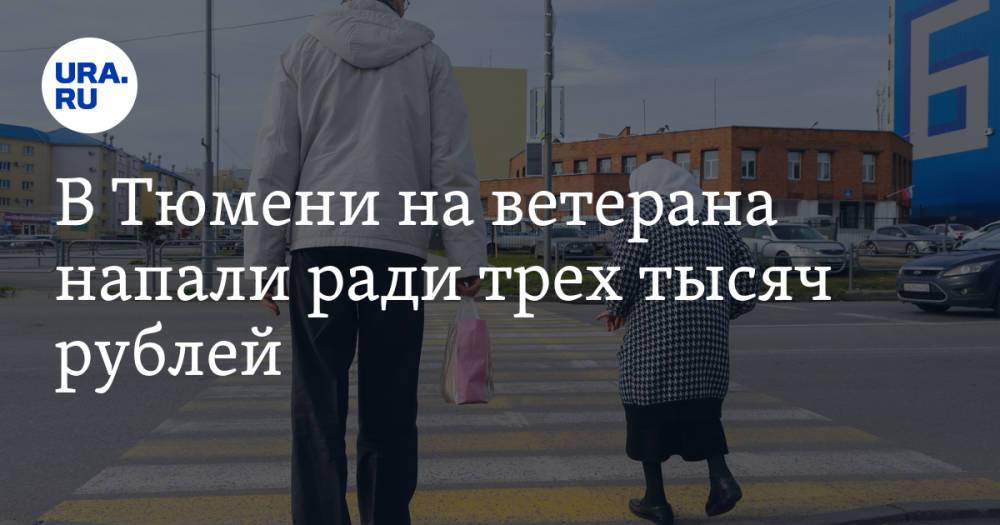 В Тюмени на ветерана напали ради трех тысяч рублей. Видео