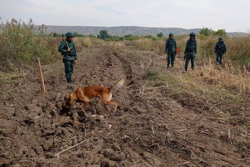 В ГПС Азербайджана назвали количество мин и боеприпасов, обнаруженных на освобожденных приграничных территориях (ФОТО)