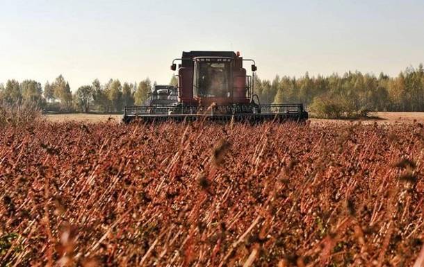 Украина собрала самый большой урожай гречки за последние годы