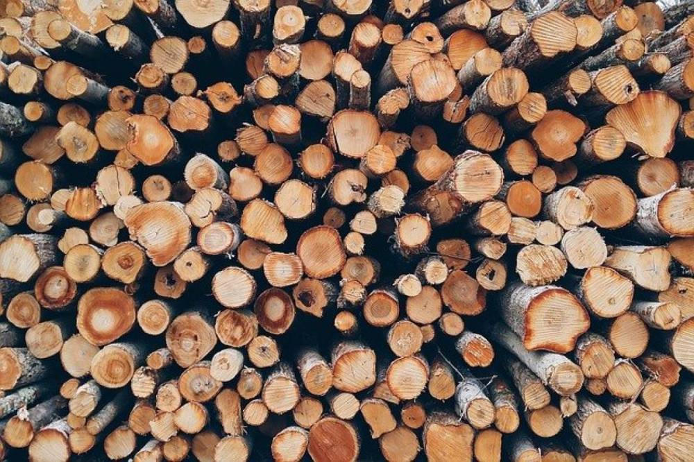 Из Хабкрая за рубеж отправлено более 3 млн кубометров лесопродукции