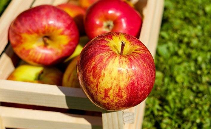 Sina (Китай): яблоки быстро портятся, если их оставить надолго? Три секрета, как сохранить их свежими и вкусными подольше!