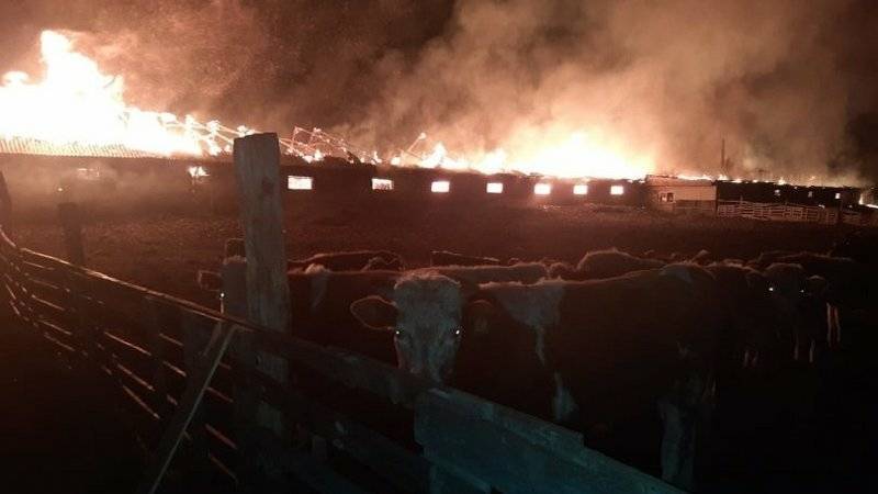 В Башкирии огонь уничтожил ферму