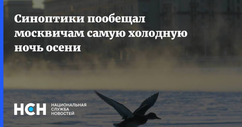 Синоптики пообещал москвичам самую холодную ночь осени