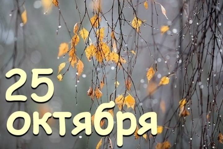 День таможенника, международный день библиотек и день работника кабельной промышленности – какой сегодня праздник в Красноярске, 25 октября
