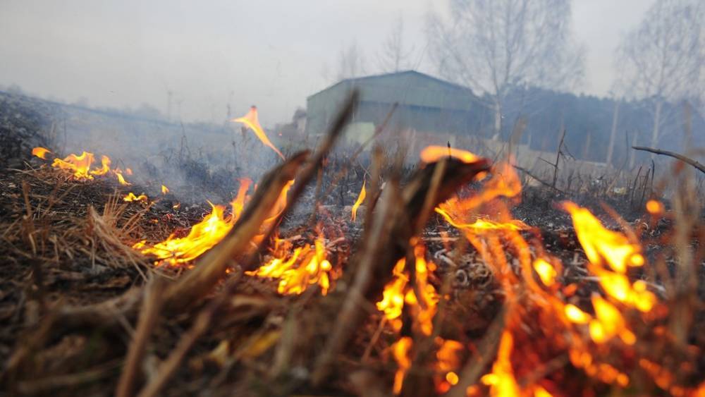 Пожарные Астраханской области более 70 раз выезжали тушить горящую траву и камыш