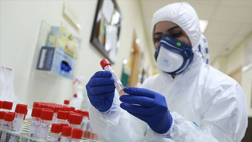 В Грузии за сутки выявлено около 2 тыс. случаев заражения коронавирусом