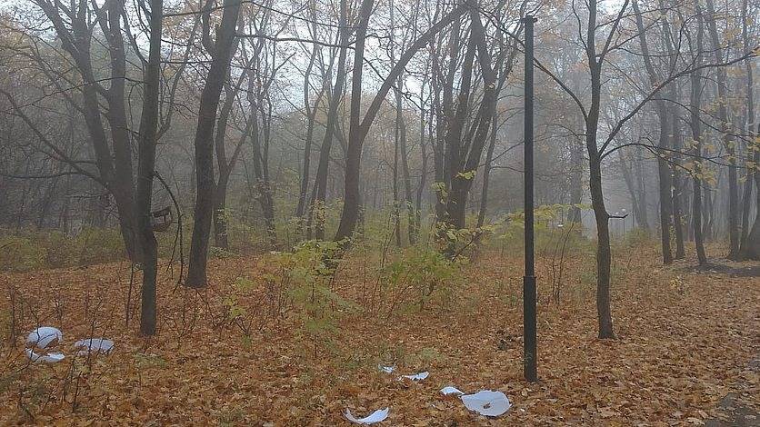 В Орле вандалы разрушили парк Ботаника на более чем 220 тысяч рублей