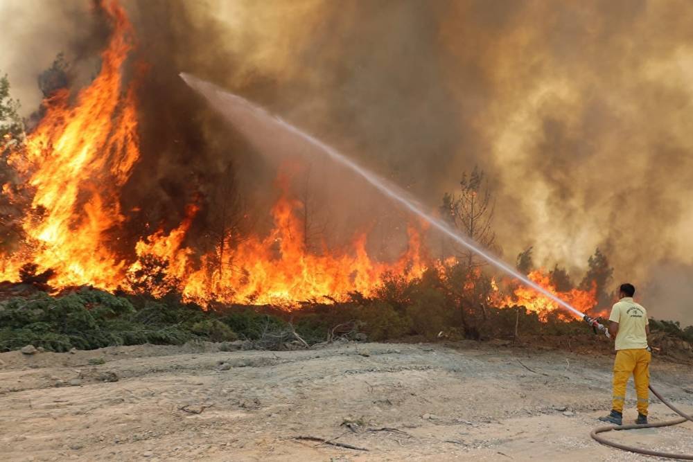 В Турции по подозрению в поджоге леса задержаны семь россиян