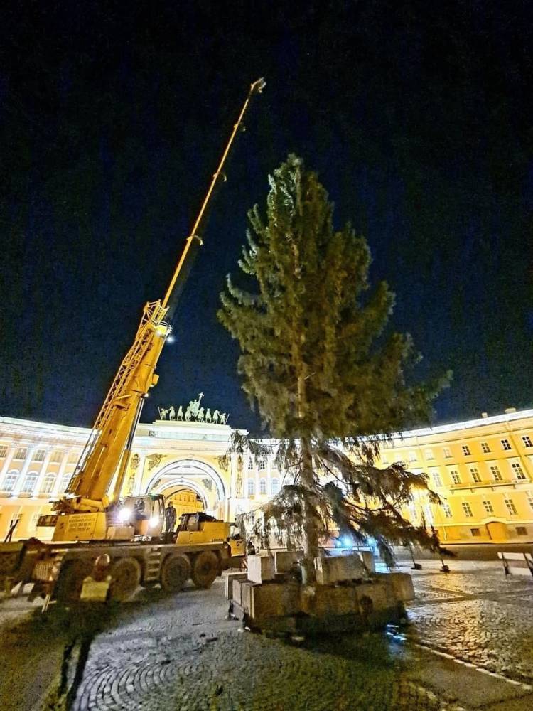 Власти Петербурга потратят на оформление Дворцовой площади к Новому году больше ₽5 млн