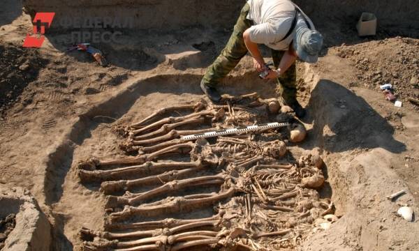 В лесу под Нижним Тагилом нашли 14 скелетов
