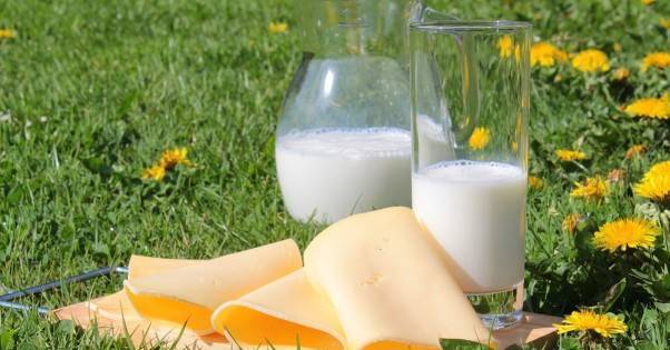 В Украине растет себестоимость производства молока