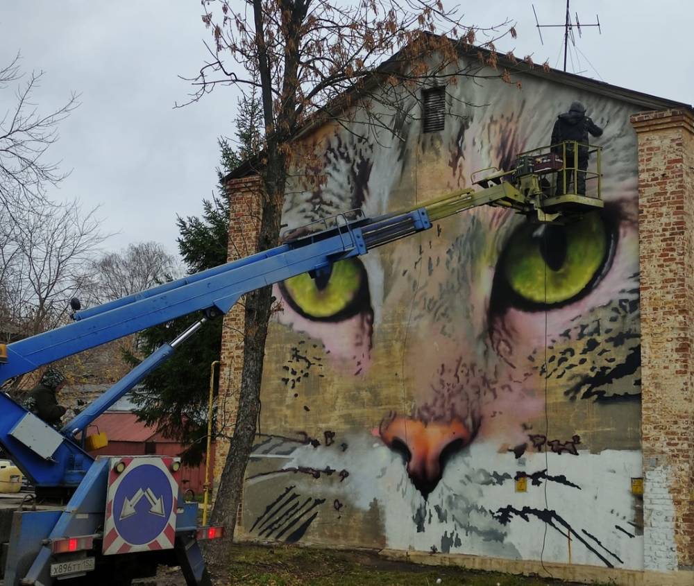 Граффити с котом появится на одном из домов на улице Культуры