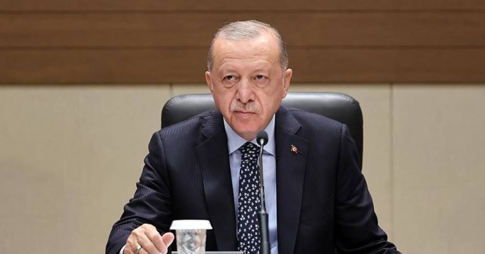 Эрдоган решил не выгонять послов