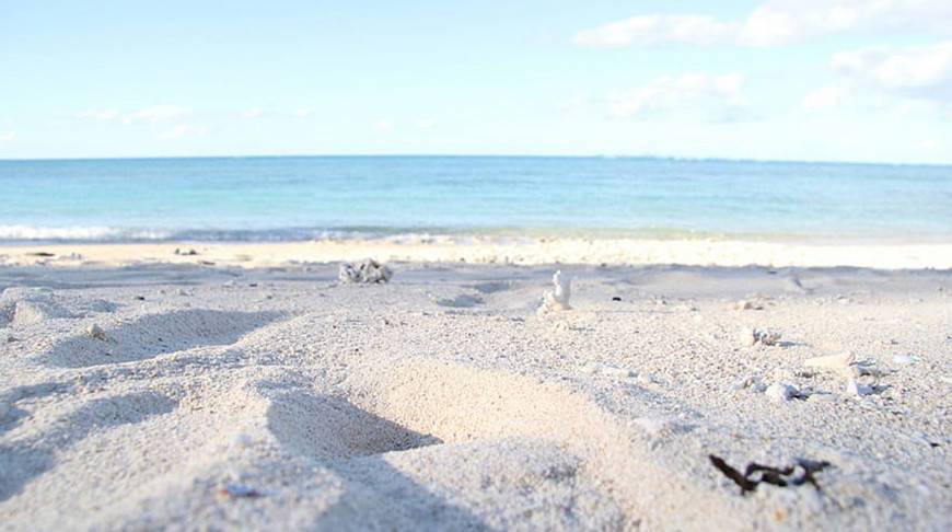 Пляжи на юге Японии покрылись слоем пемзы из-за извержения подводного вулкана