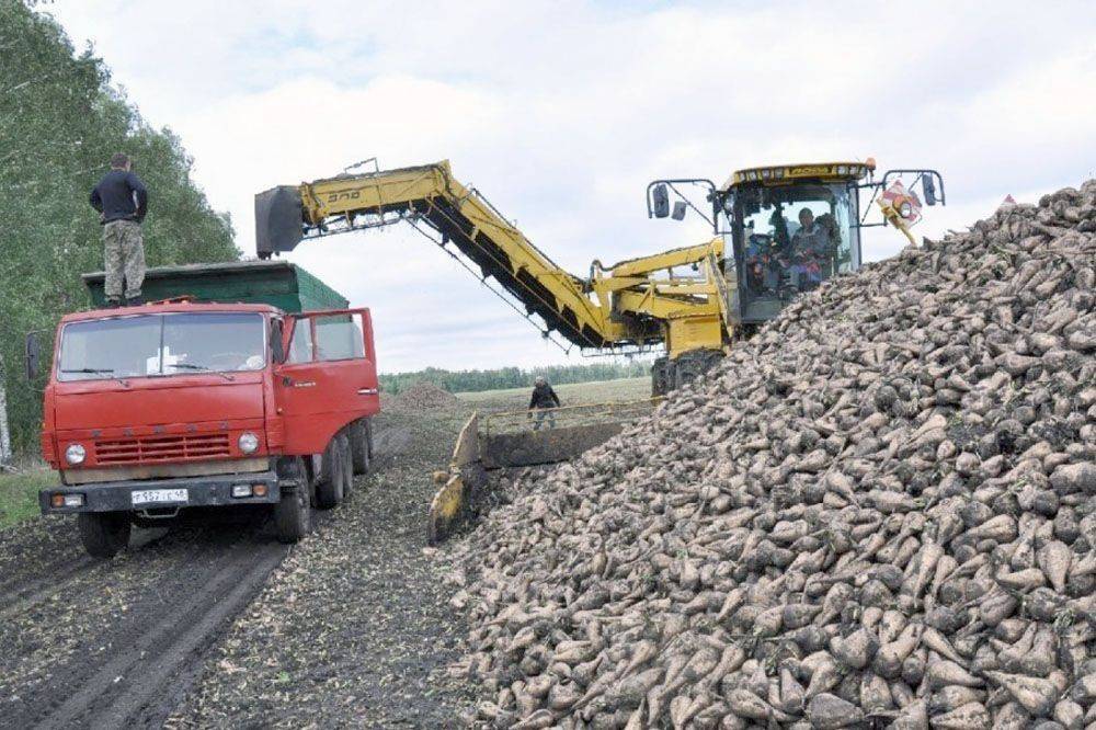 Уборочная кампания в Липецкой области завершается