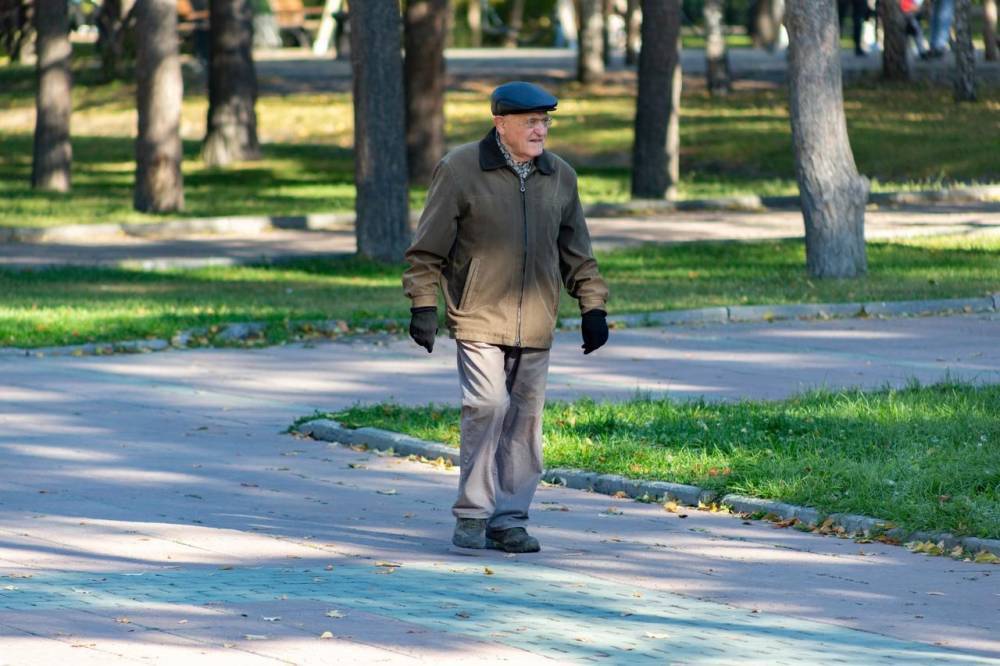 В Новосибирске работающих пенсионеров старше 60 лет отправят на удалёнку