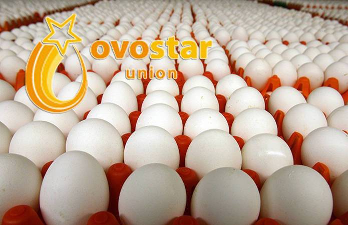 Овостар Юнион увеличил продажи яиц на 10%