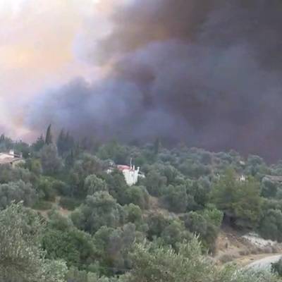 Суд Турции освободил из-под стражи граждан России, связанных с поджогом леса