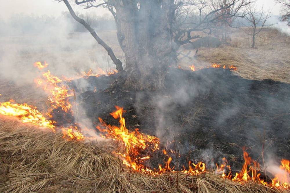 В Хабаровском крае причиной пожаров все чаще становится детская шалость