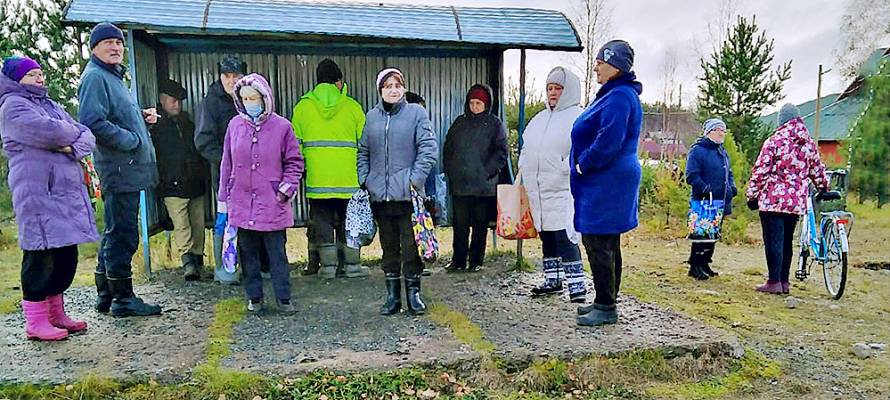 Поселок в Карелии, где летом выгорел лес, лишился единственного магазина