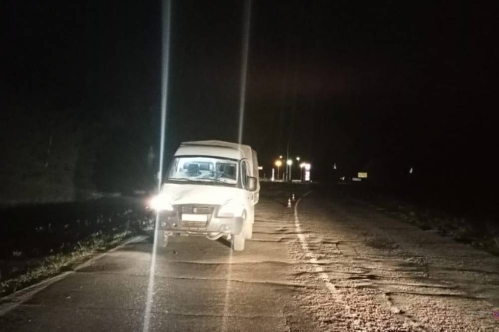 На трассе в Волгоградской области Газель насмерть сбила пешехода
