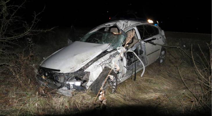 В Шумерлинском районе водитель иномарки вылетел в кювет и погиб