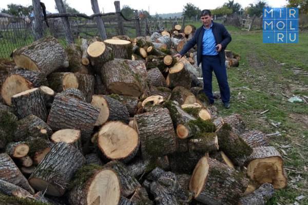 В Буйнакском районе Дагестана выявлены факты незаконного производства древесного угля