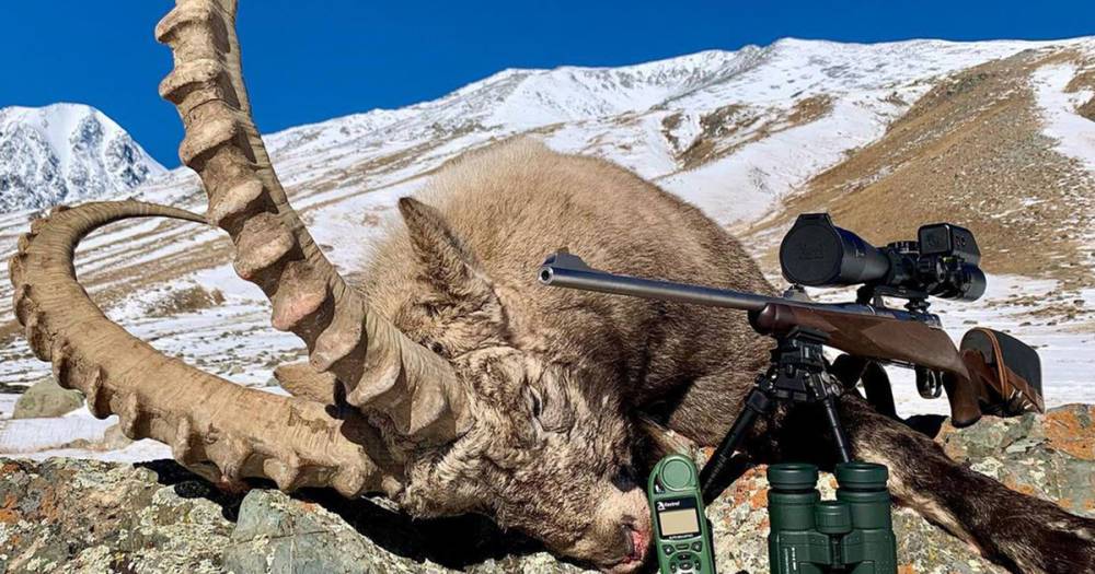 Охотница из Москвы застрелила редкого зверя и возмутила пользователей сети