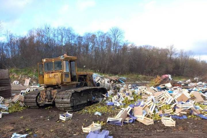 Почти 20 тонн бельгийских груш уничтожили в Псковской области