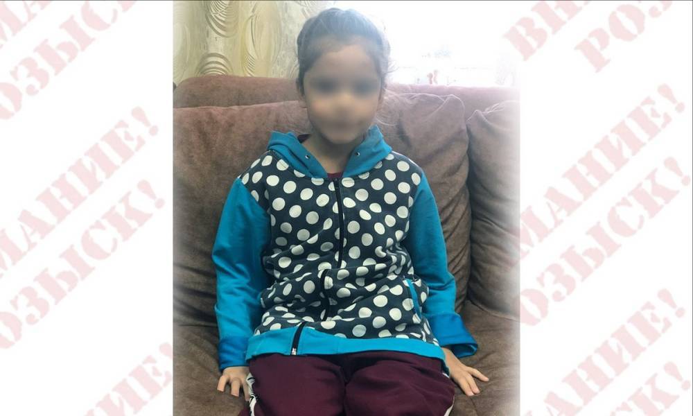 Пропавшую в Карелии 6-летнюю девочку нашли у родителей в Ленобласти