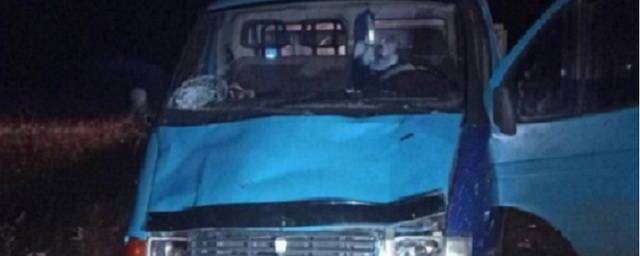 В Нижегородской области водитель «ГАЗели» насмерть сбил двух человек