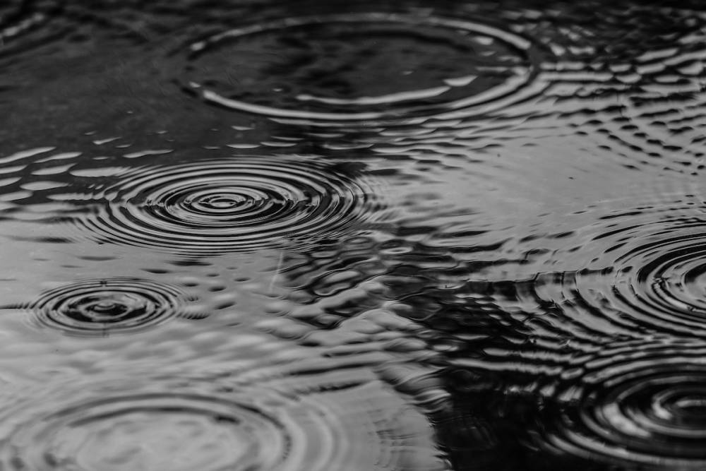 Дождь, порывистый ветер и до +13 °C пообещали жителям Ленобласти в пятницу