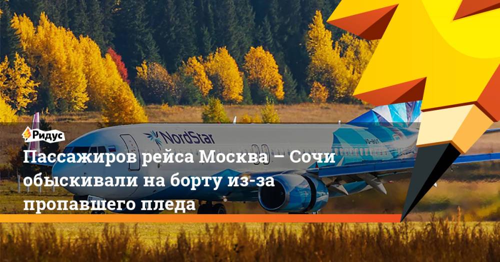 Пассажиров рейса Москва – Сочи обыскивали на борту из-за пропавшего пледа