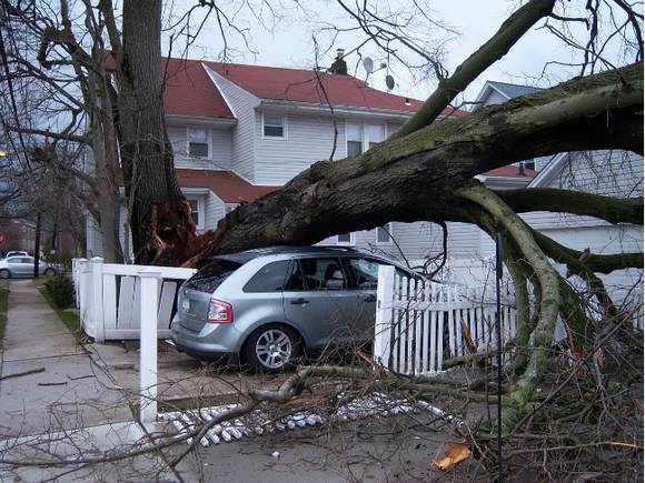 Сотни тысяч американцев остались без электричества из-за шторма на северо-востоке США