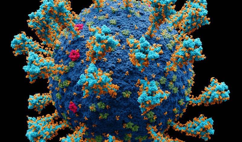 "Биологическая Энигма": одолеть коронавирус может математическое моделирование