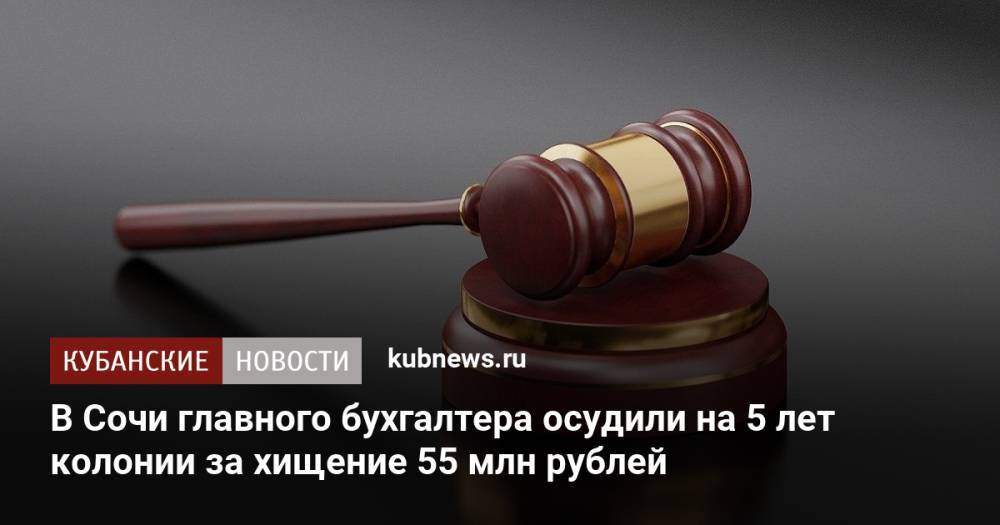 В Сочи главного бухгалтера осудили на 5 лет колонии за хищение 55 млн рублей