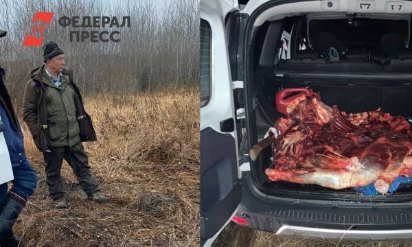 Депутат Рашкин попался с убитым лосем под Саратовом