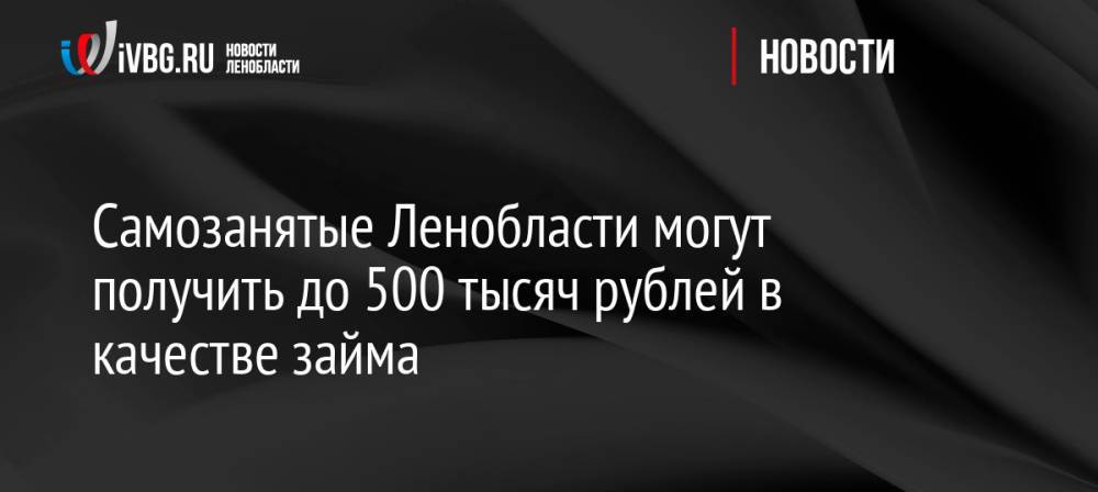 Самозанятые Ленобласти могут получить до 500 тысяч рублей в качестве займа