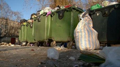 Депутатам объяснили, почему в Пензе переполнены контейнеры для пластика