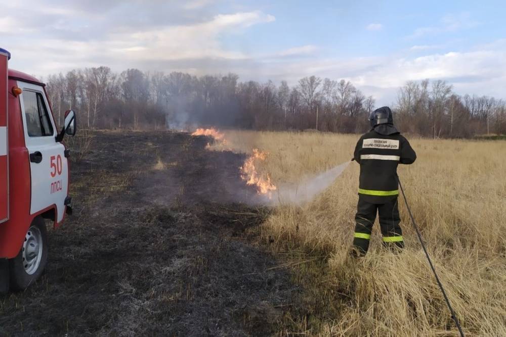 В Пензенской области за сутки потушили 11 пожаров
