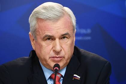 Экс-депутат Госдумы оценил шансы Рашкина избежать наказания