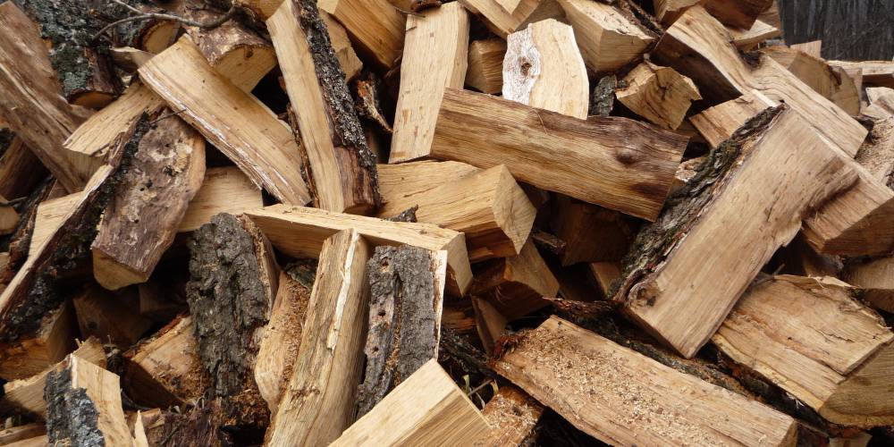 Украина планирует увеличит экспорт дров в Европу, чтобы спасти регион от нехватки газа