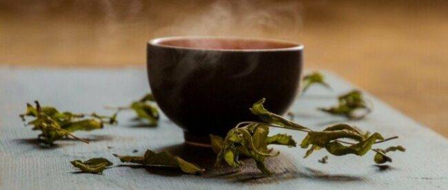 Дієтолог розповіла, кому не варто вживати зелений чай