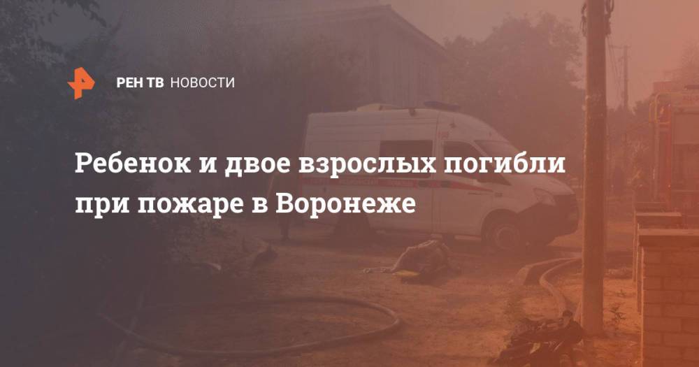 Ребенок и двое взрослых погибли при пожаре в Воронеже