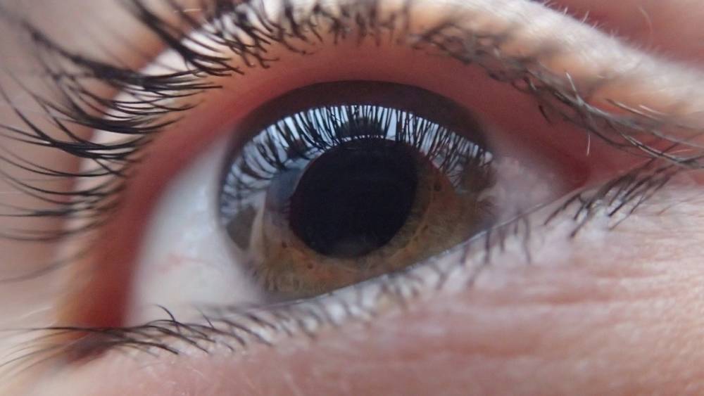 Ученые университета Вирджинии предложили лечить глазное заболевание лекарствами от ВИЧ
