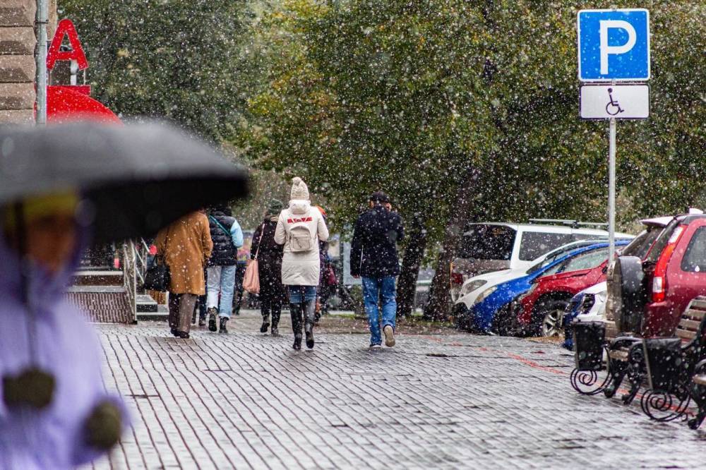 Мокрый снег с дождём и резкое похолодание придут 30 и 31 октября в Новосибирск