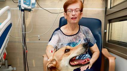 Спасенная семьей израильтян собака спасла 80-летнюю маму от инсульта